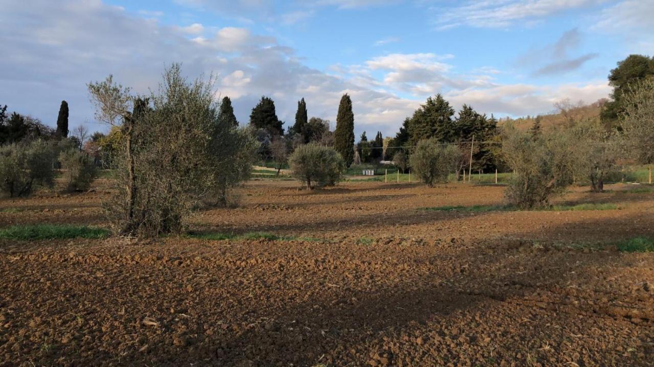 Il Broletto Apartment